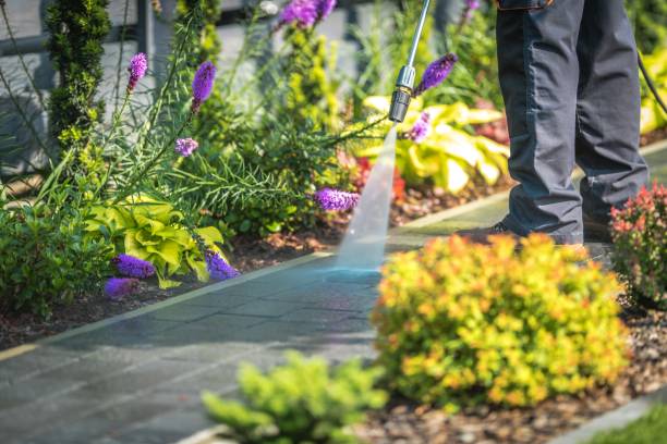 Best Deck and Patio Pressure Washing in Evansville, WY